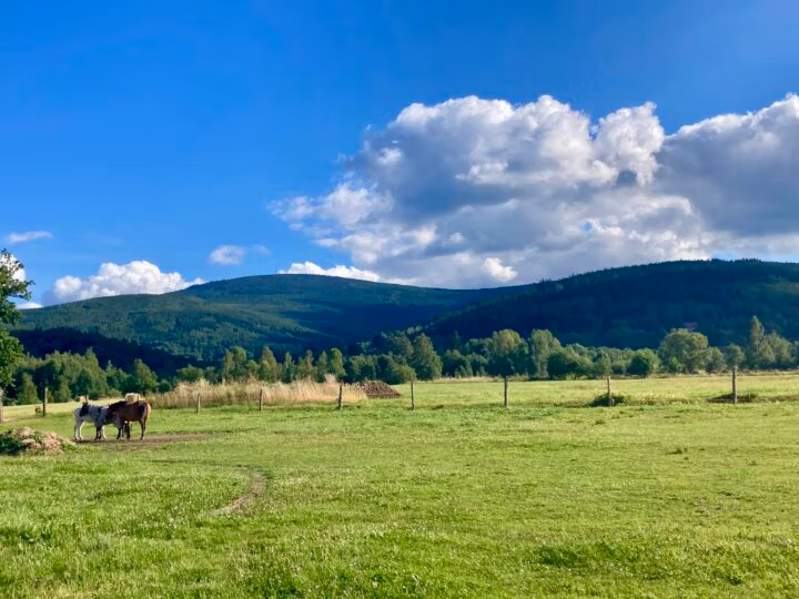 Zielone pola i wzgórza pod chmurami
