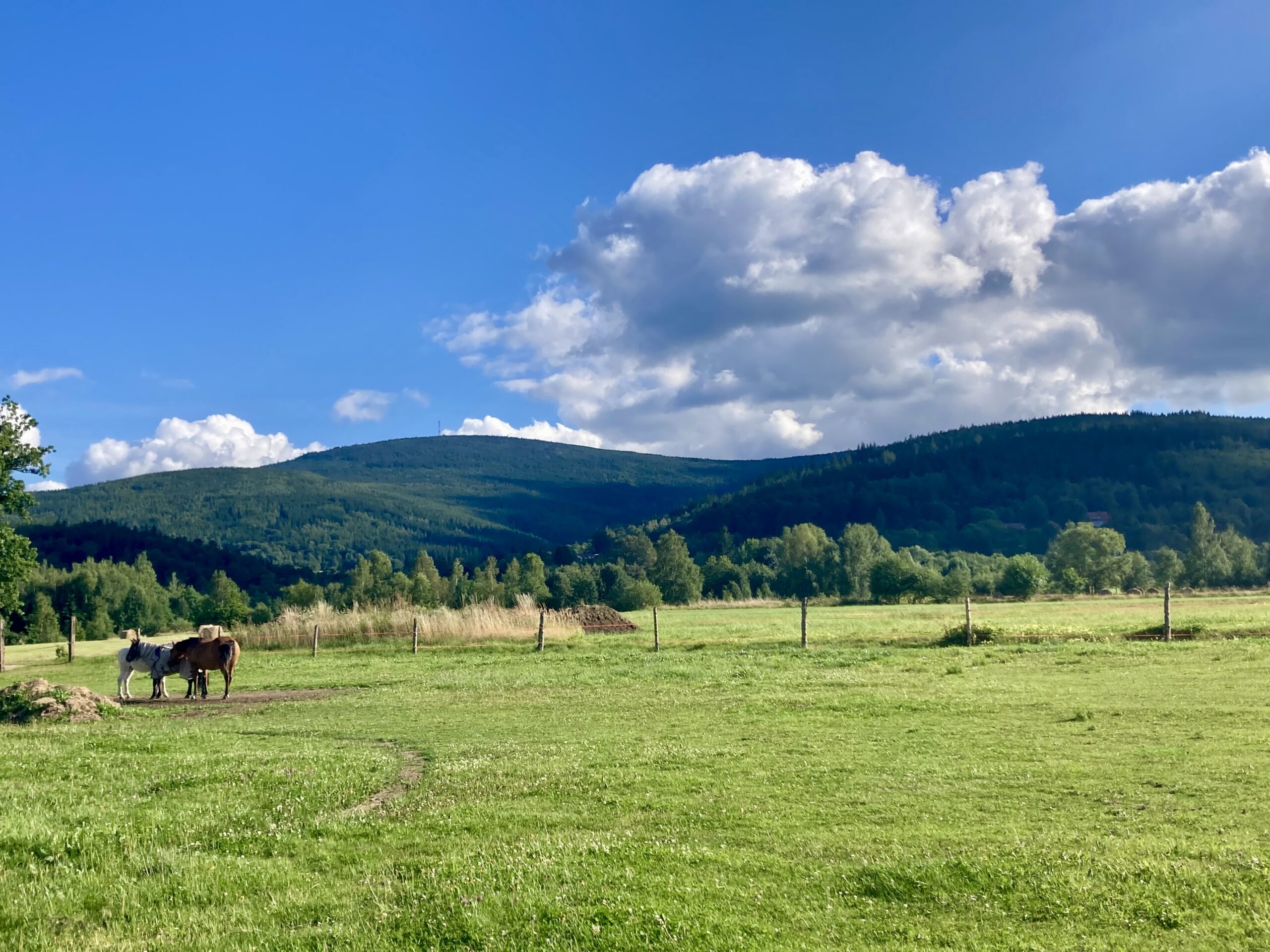Zielone pola i wzgórza pod chmurami